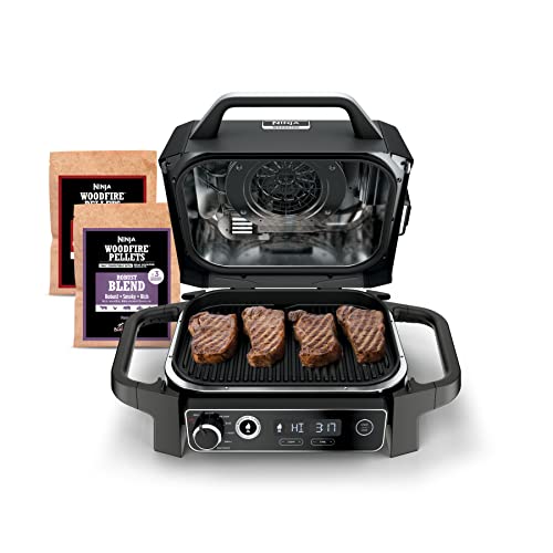 Ninja Woodfire OG701 Outdoor Grill & Smoker product image