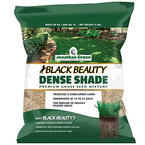 Jonathan Green Black Beauty Dense Shade Grass Seed