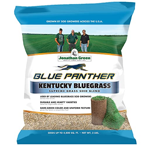 Jonathan Green Blue Panther Kentucky Bluegrass