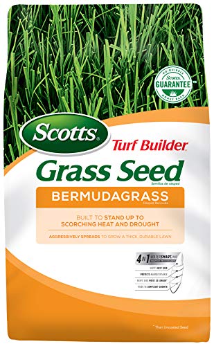 Scotts Turf Builder Bermudagrass