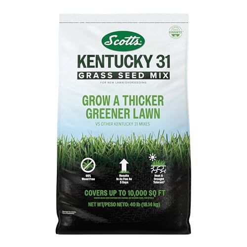Scotts Kentucky 31 Grass Seed Mix
