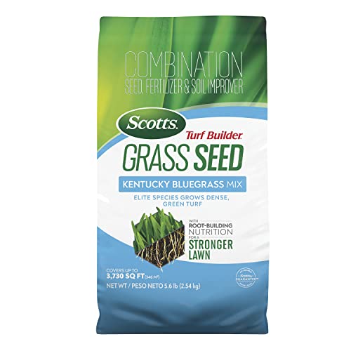 Scotts Turf Builder Grass Seed Kentucky Bluegrass Mix