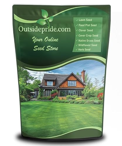 Outsidepride Midnight Kentucky Bluegrass Seed