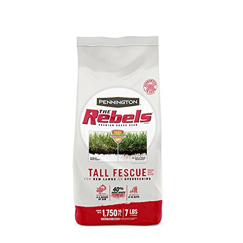 Pennington The Rebels Tall Fescue Mix