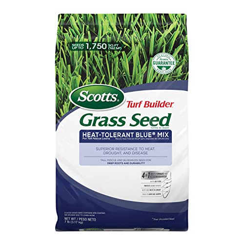 Scotts Turf Builder Heat-Tolerant Blue Mix