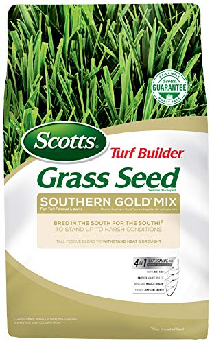 Scotts Turf Builder Southern Gold Mix