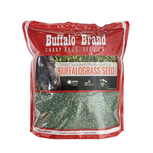 Sharp's Improved II Buffalo Grass